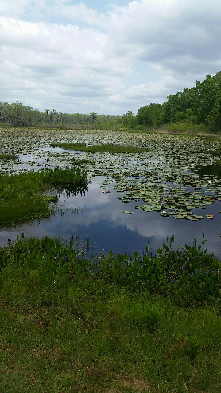 lake