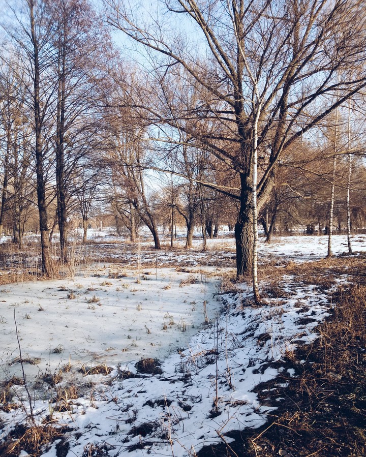 winter