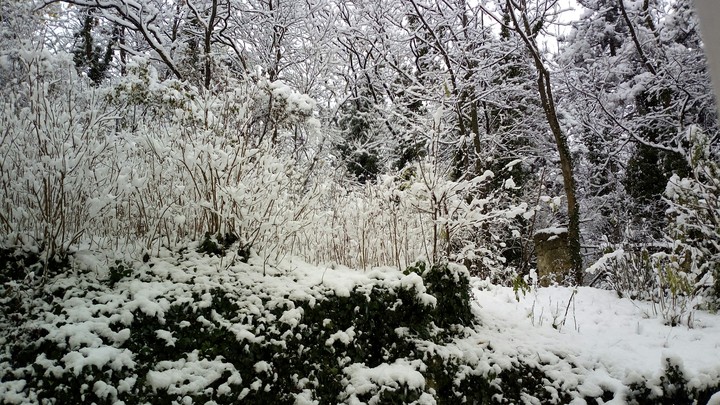 winter <3