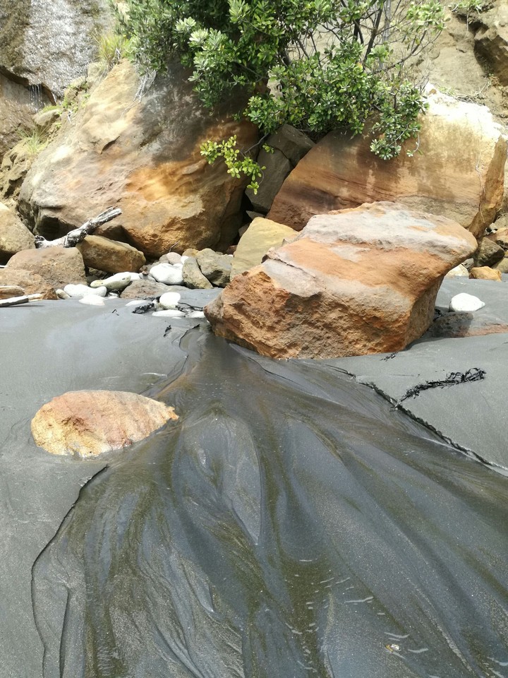 Beach oasis