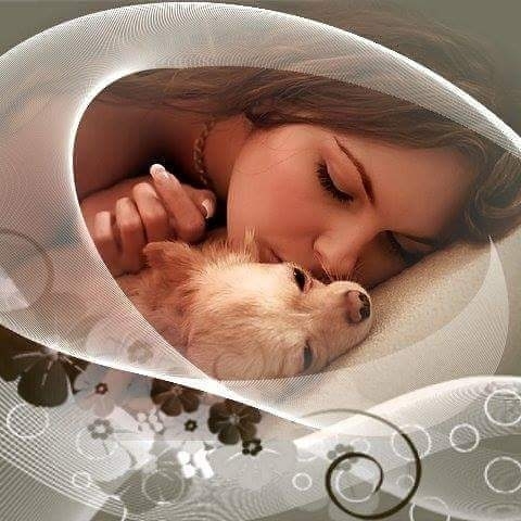 Puppy