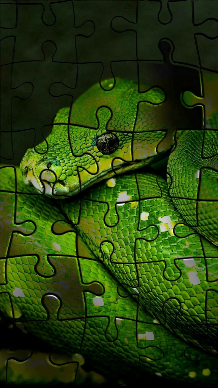 jigsaw green boa constrictor!
