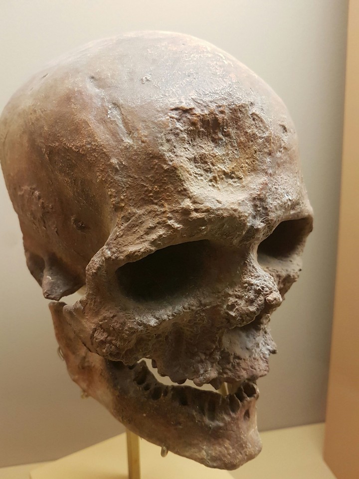 Tête de mort ancien