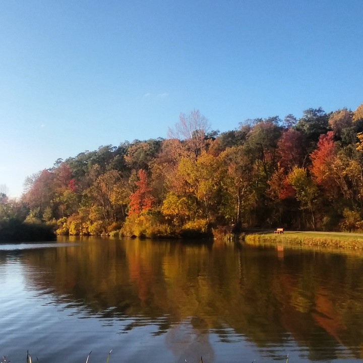 Autumn