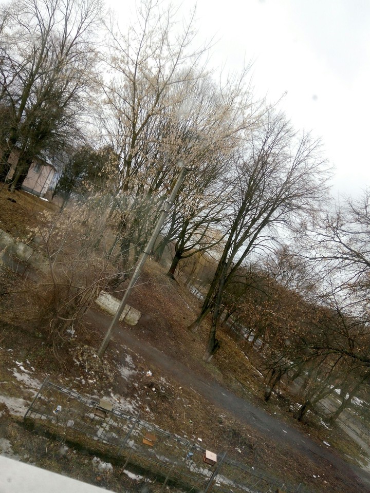 spring winter
