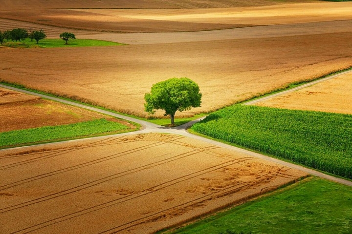 nature