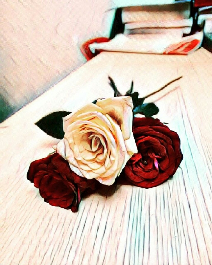 ROSES