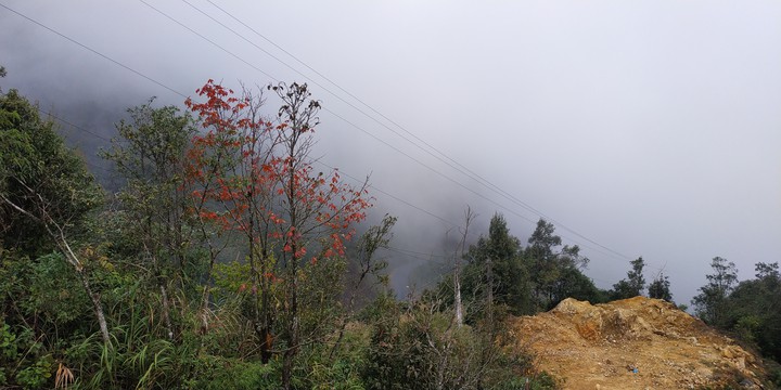 sapa việt Nam