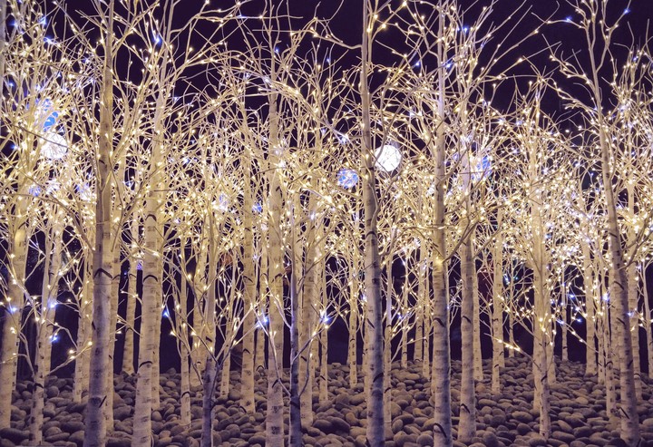 lights