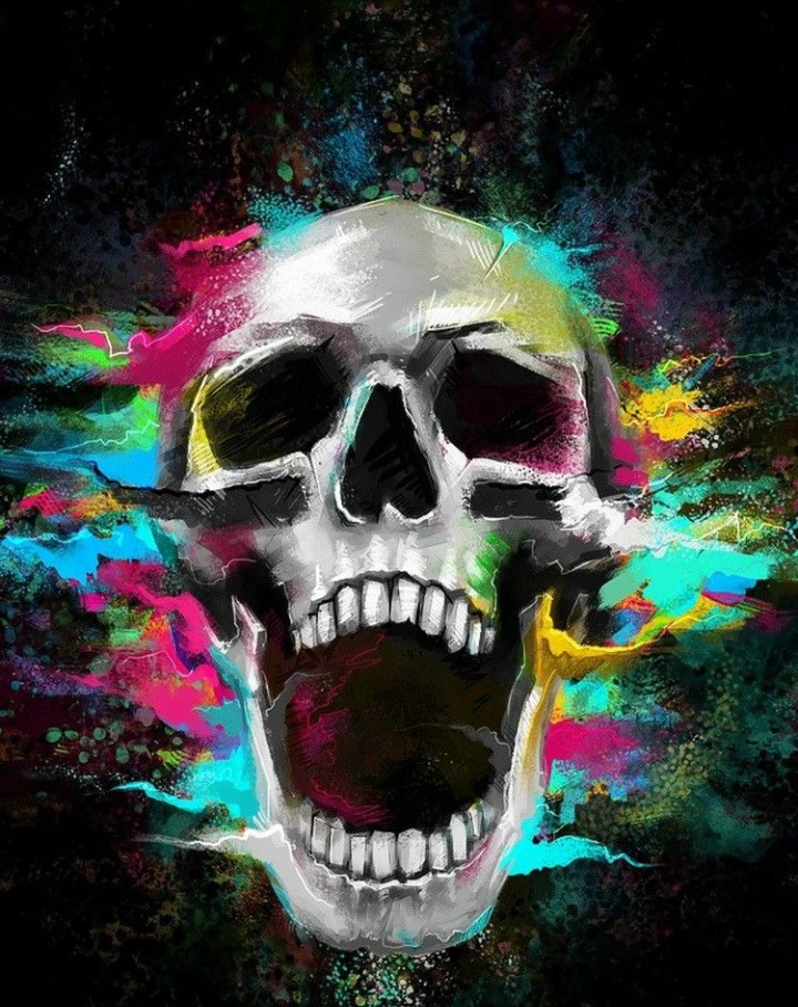 skull