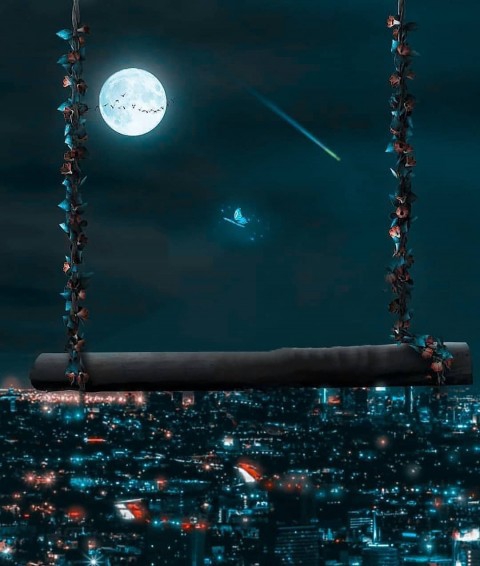 The Night