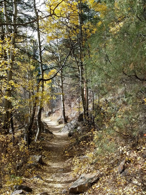 Fall in Colorado