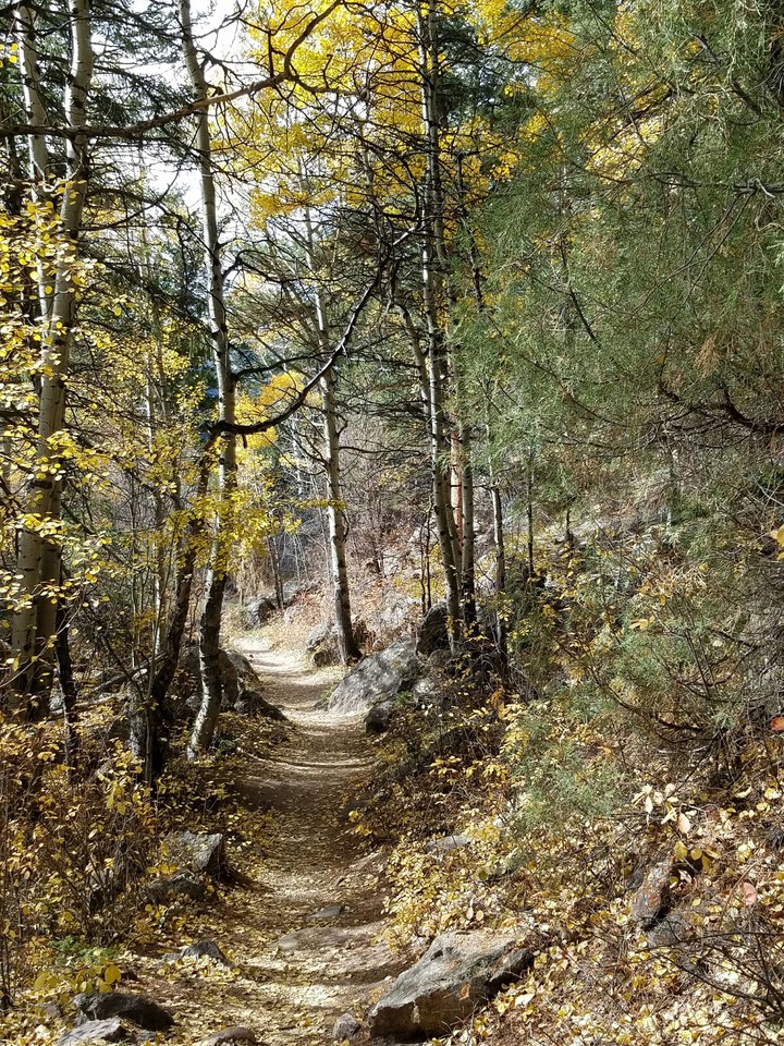 Fall in Colorado