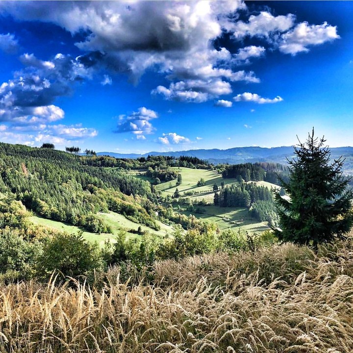 Czech Republic