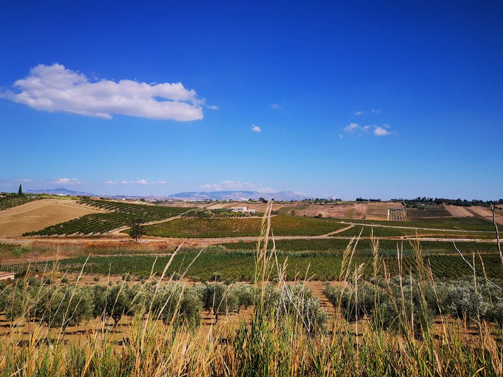 sicilia 2019