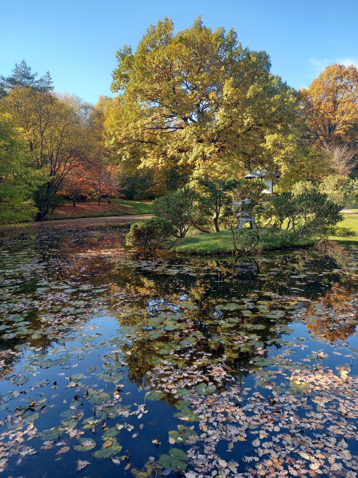 autumn time