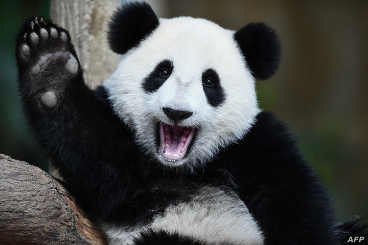 Hiiiiiiíiiiiiiiiiiiiiii ?????