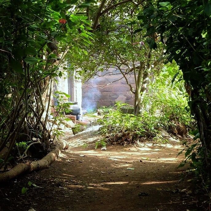 My village backyard