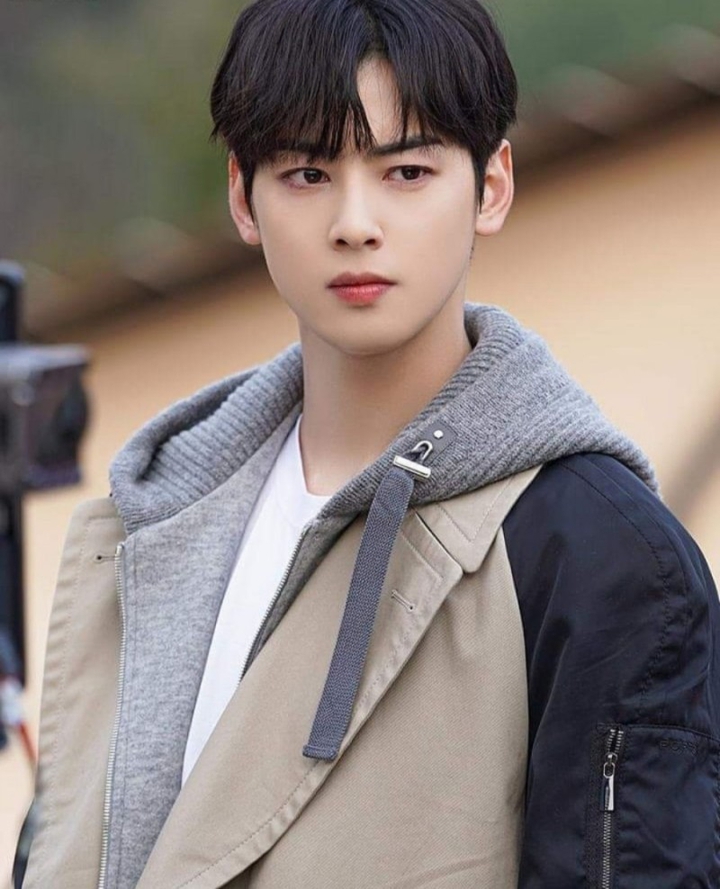 Korean actor ChaEunwoo