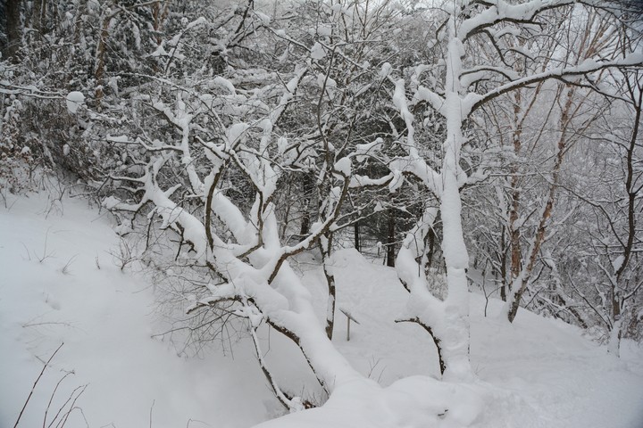 태백산이미지