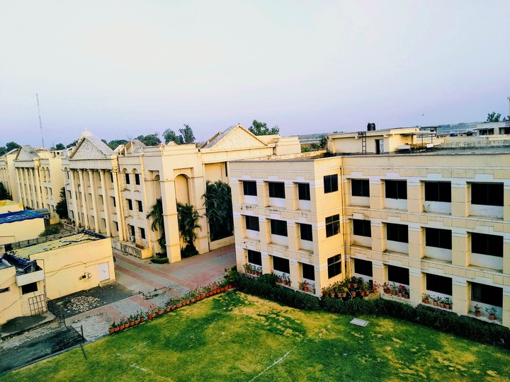 my college