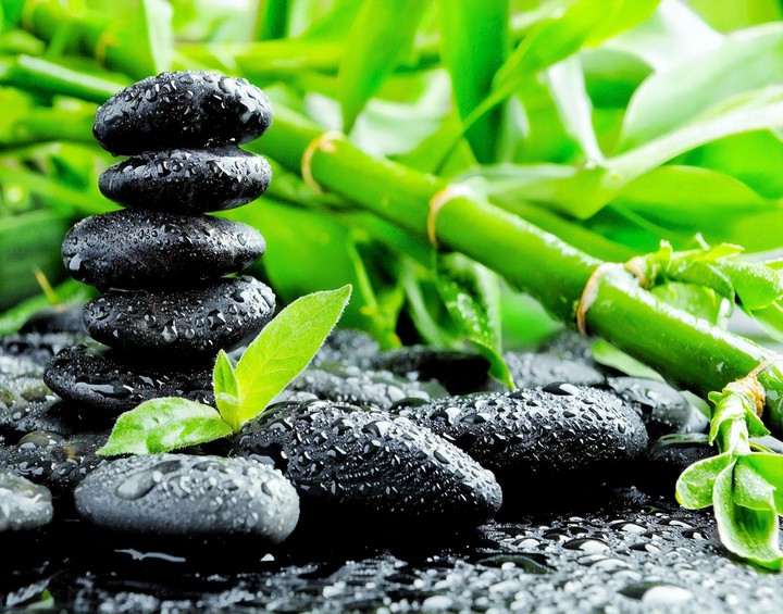 black stone and green bamboo
