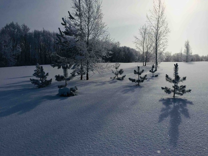 пейзаж