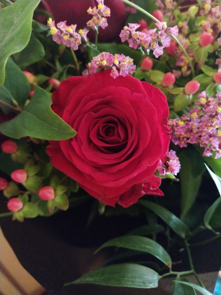Rose