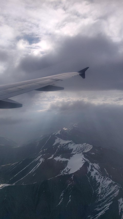 flight view