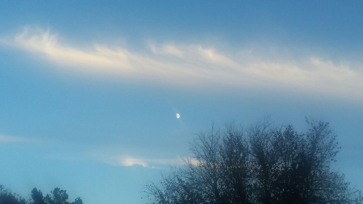 Early Moon