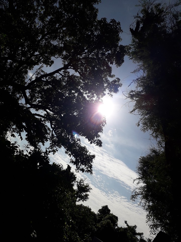 nature's beauty