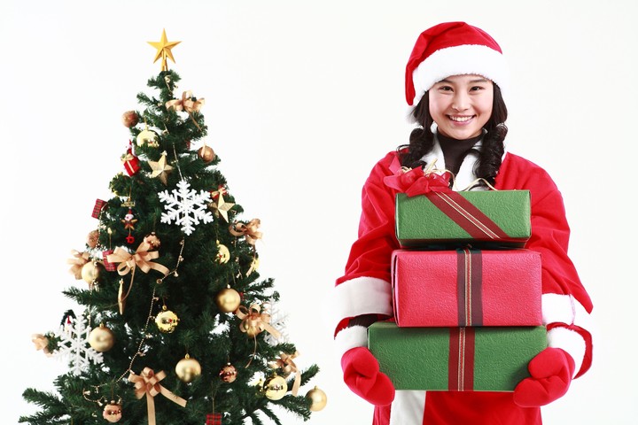 Christmas Costume