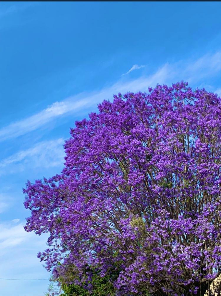 color