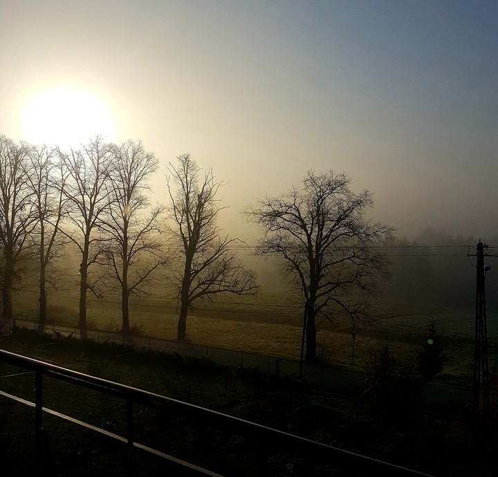 Morning Fog
