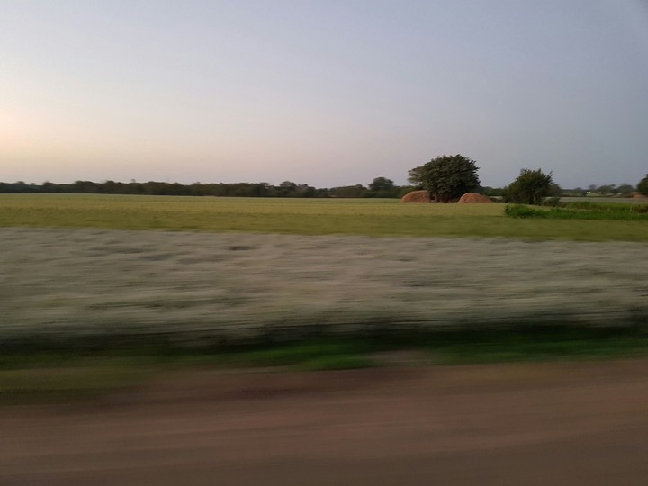 fields