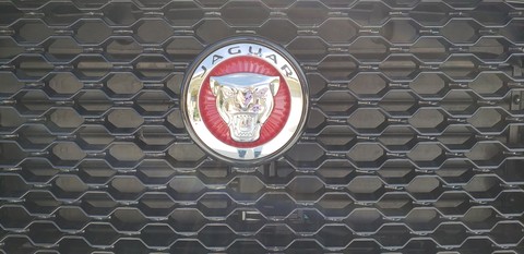 car grill