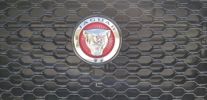 car grill