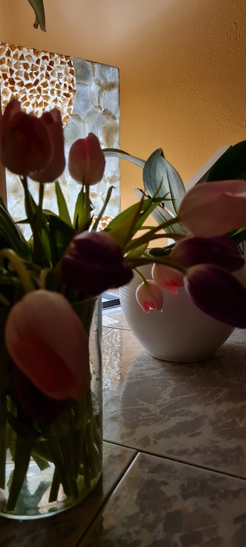 Spring coming soon