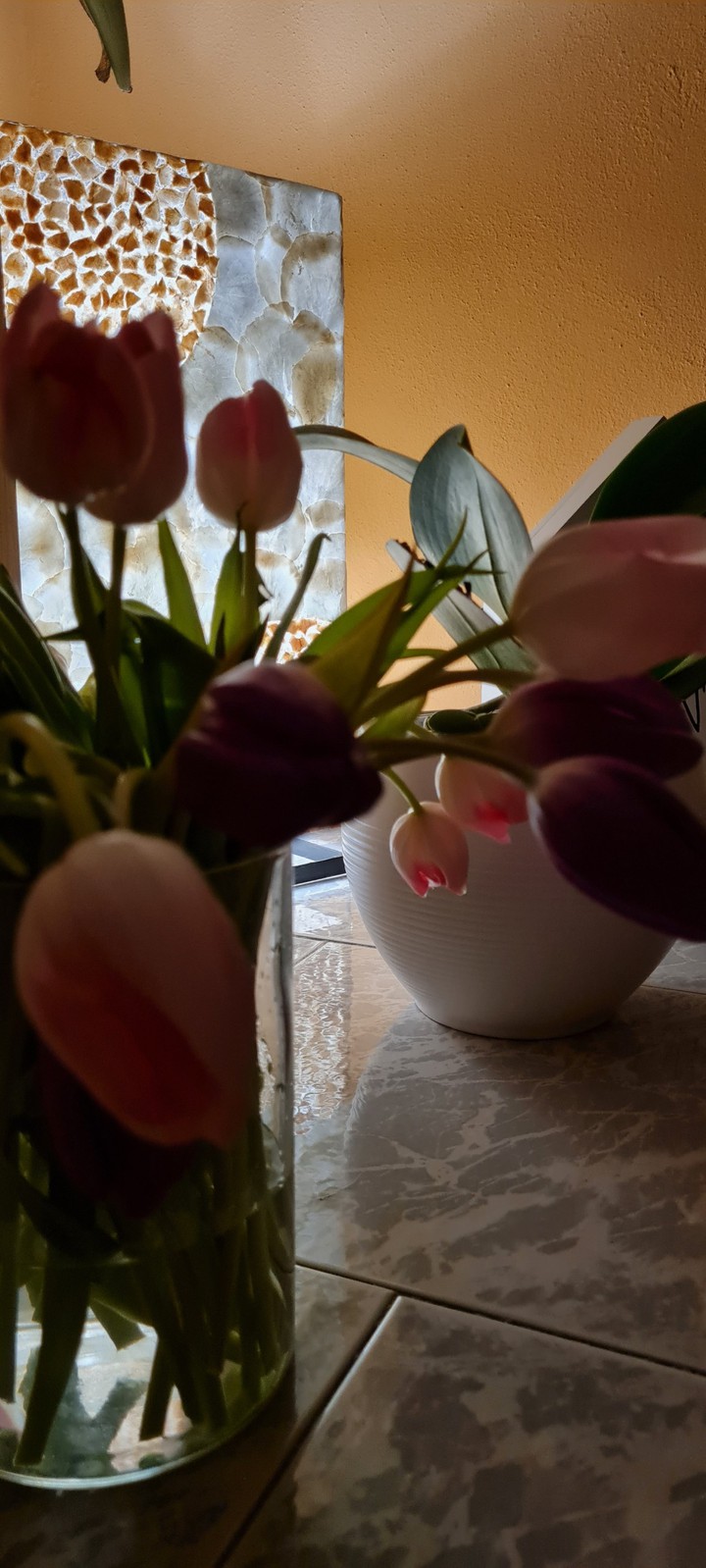 Spring coming soon