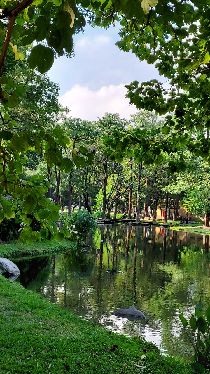 湖景