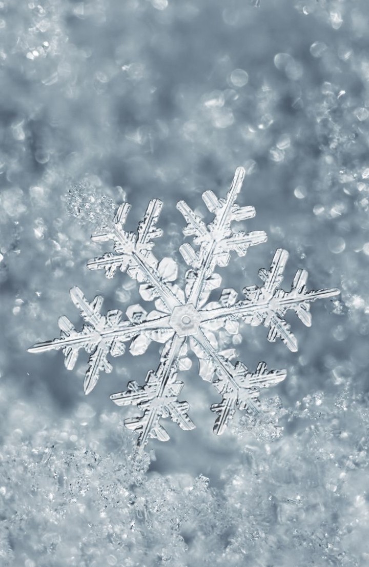 ~ #Winter