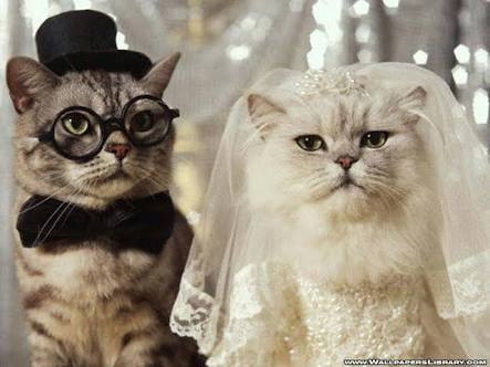 just married........