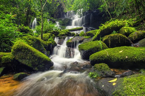 Natur