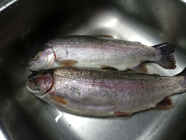 рыба