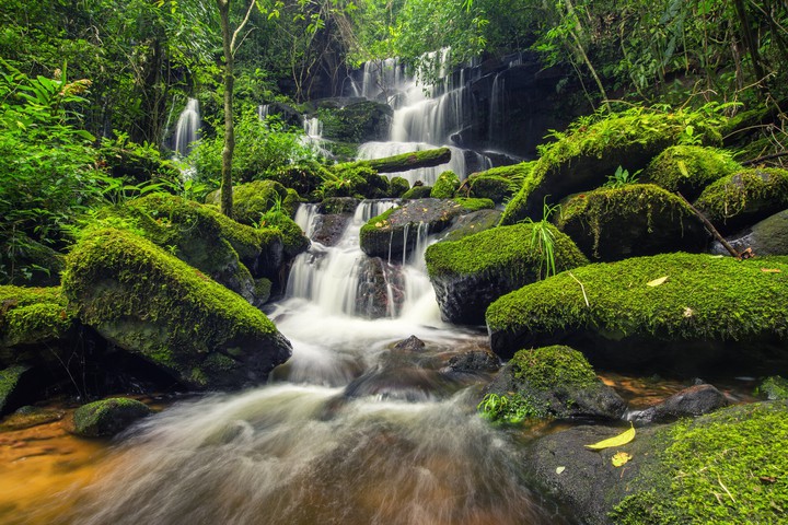Natur