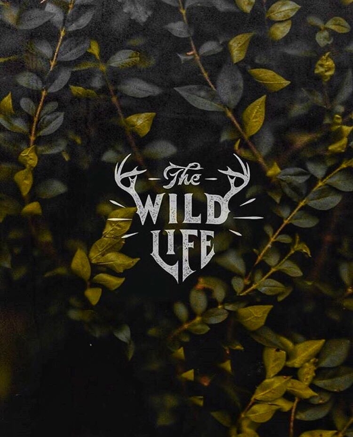 wild life