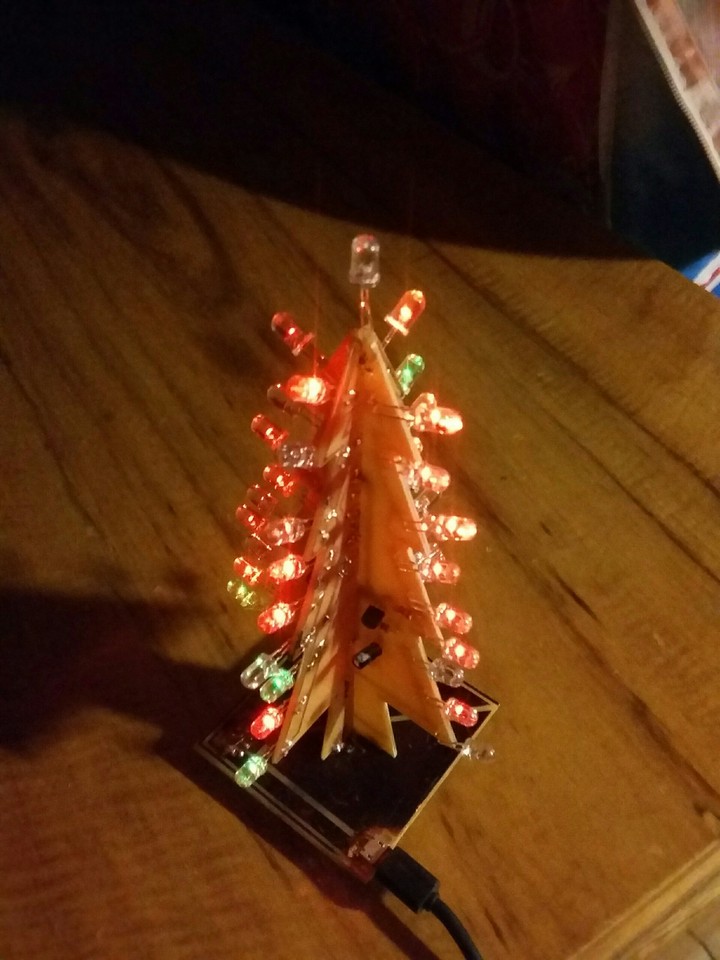 pinus