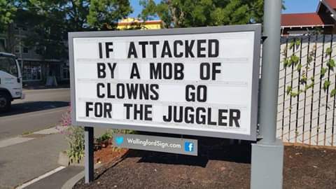 #funnysaying