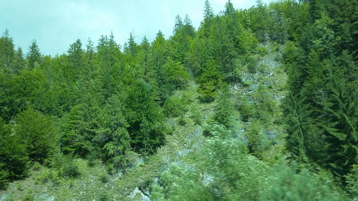 picture