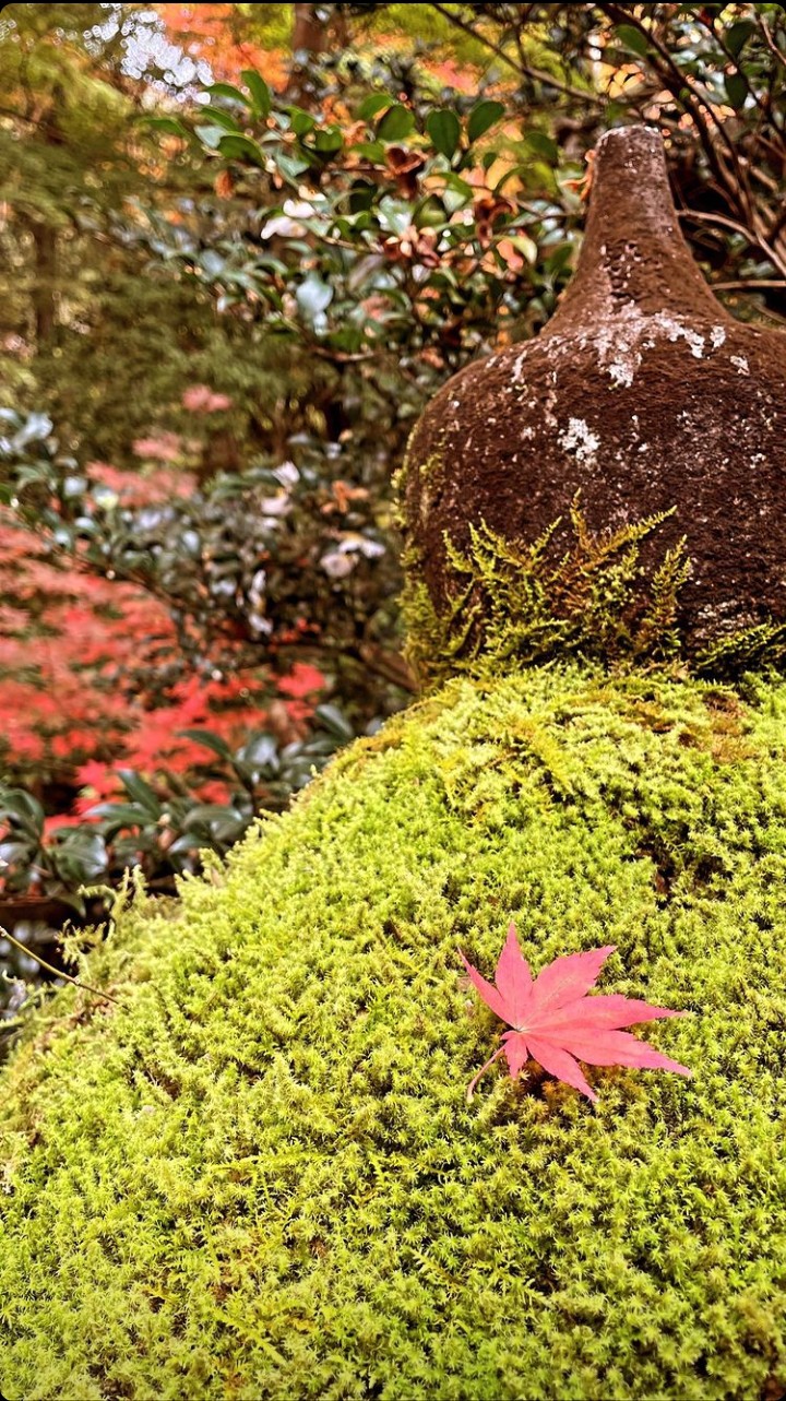autumn
